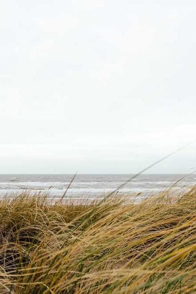 Image for End of Cold War