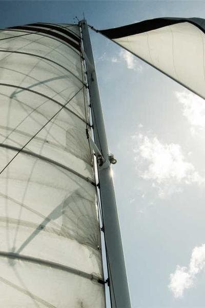 Image for Rise of Internet