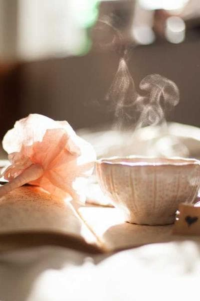 Image for Economic Integration