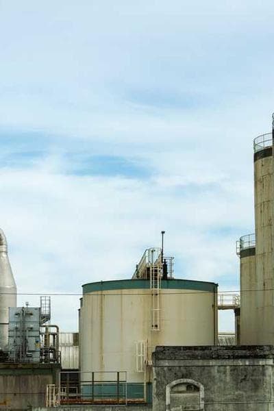 Image for Cultural Exchange